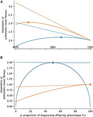 Transgenerational Plasticity and Bet-Hedging: A Framework for Reaction Norm Evolution